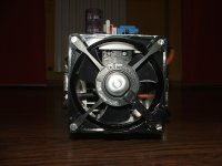 DSCF4264.JPG DSCF4264.JPG